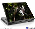 Laptop Skin (Small) - Dragonfly