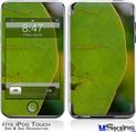 iPod Touch 2G & 3G Skin - To See Through Leaves
