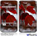iPod Touch 2G & 3G Skin - Wet Leaves