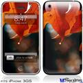iPhone 3GS Skin - Fall Oranges