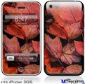 iPhone 3GS Skin - Fall Tapestry