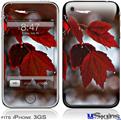 iPhone 3GS Skin - Wet Leaves