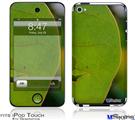 iPod Touch 4G Decal Style Vinyl Skin - To See Through Leaves
