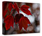 Gallery Wrapped 11x14x1.5  Canvas Art - Wet Leaves
