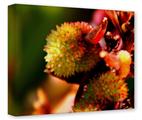 Gallery Wrapped 11x14x1.5  Canvas Art - Budding Flowers