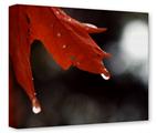 Gallery Wrapped 11x14x1.5  Canvas Art - Dripping Leaves