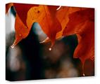 Gallery Wrapped 11x14x1.5  Canvas Art - Fall Oranges