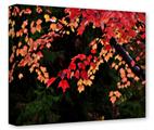 Gallery Wrapped 11x14x1.5  Canvas Art - Leaves Are Changing