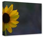 Gallery Wrapped 11x14x1.5  Canvas Art - Shining Through