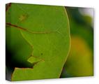 Gallery Wrapped 11x14x1.5  Canvas Art - To See Through Leaves