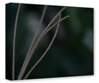 Gallery Wrapped 11x14x1.5  Canvas Art - Whisps 2