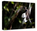 Gallery Wrapped 11x14x1.5  Canvas Art - Dragonfly