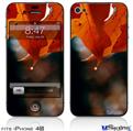iPhone 4S Decal Style Vinyl Skin - Fall Oranges
