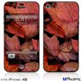 iPhone 4S Decal Style Vinyl Skin - Fall Tapestry