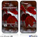 iPhone 4S Decal Style Vinyl Skin - Wet Leaves