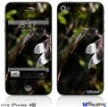 iPhone 4S Decal Style Vinyl Skin - Dragonfly